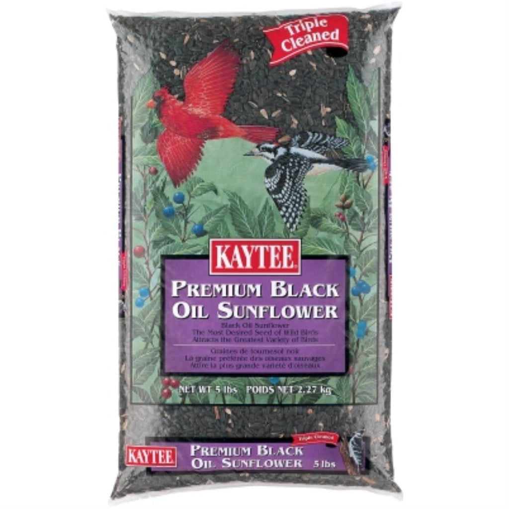 Black Oil Sunflower Food H50826