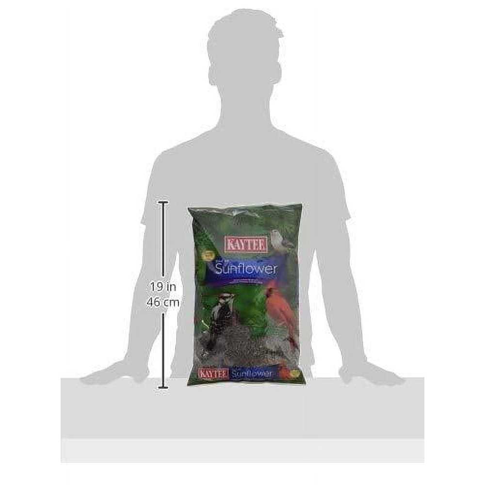 Black Oil Sunflower Food H50826