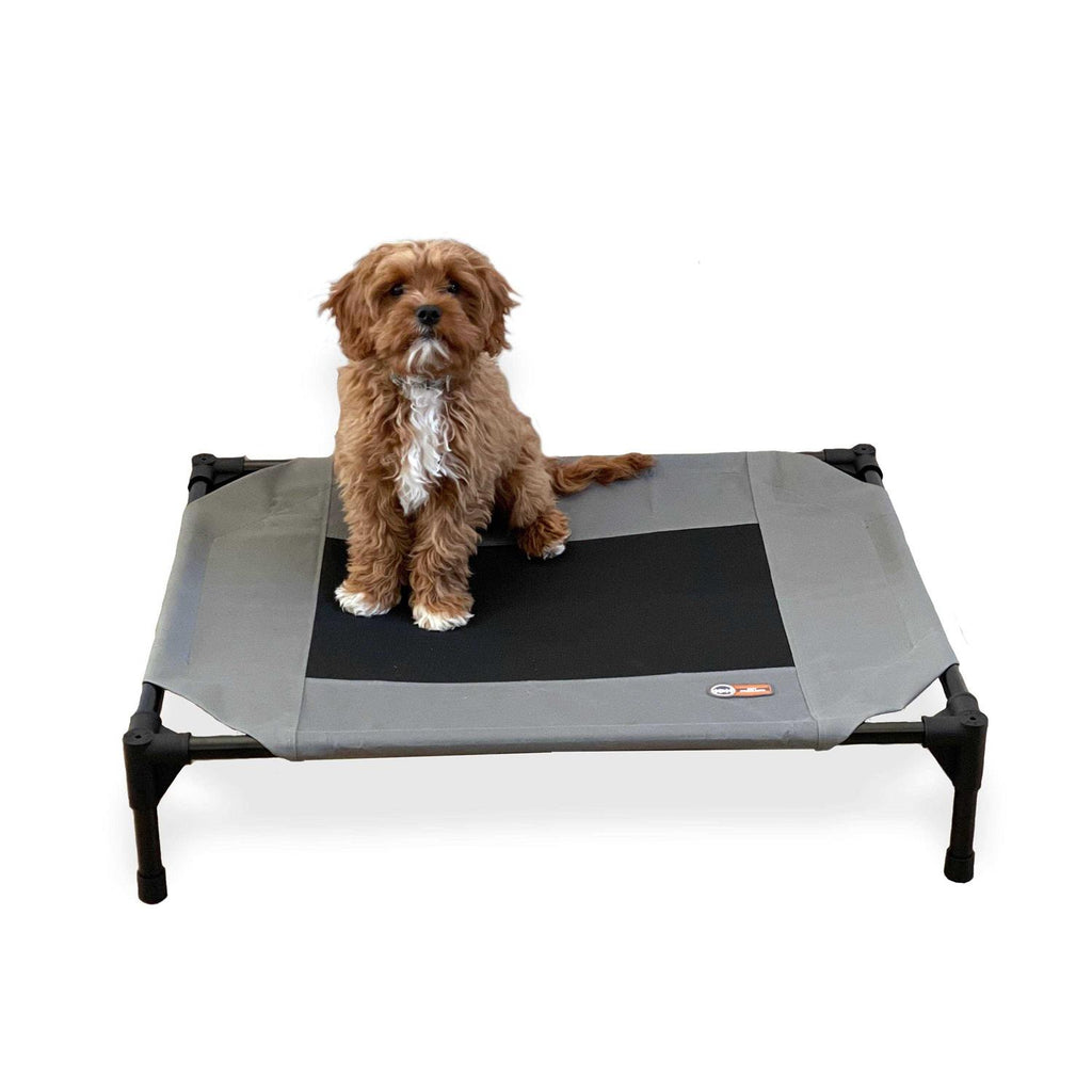 Elevated Pet Bed N704