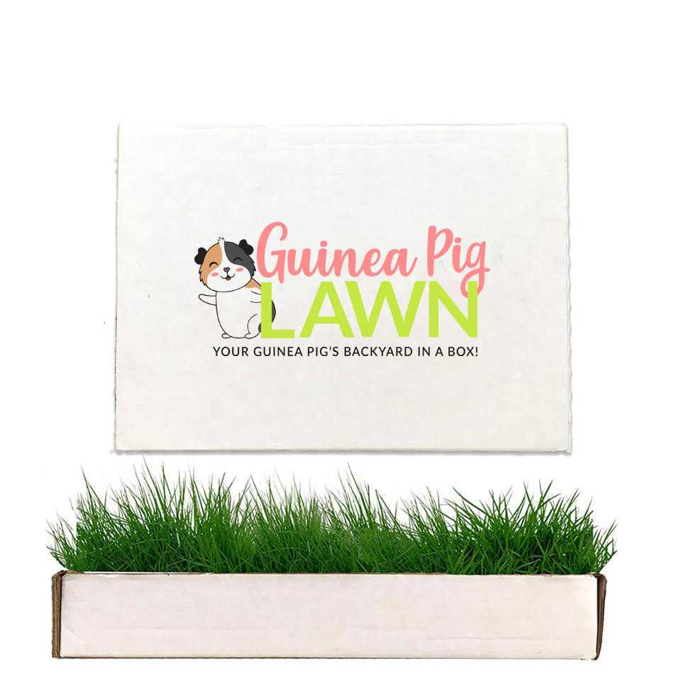 Guinea Pig Lawn A9627