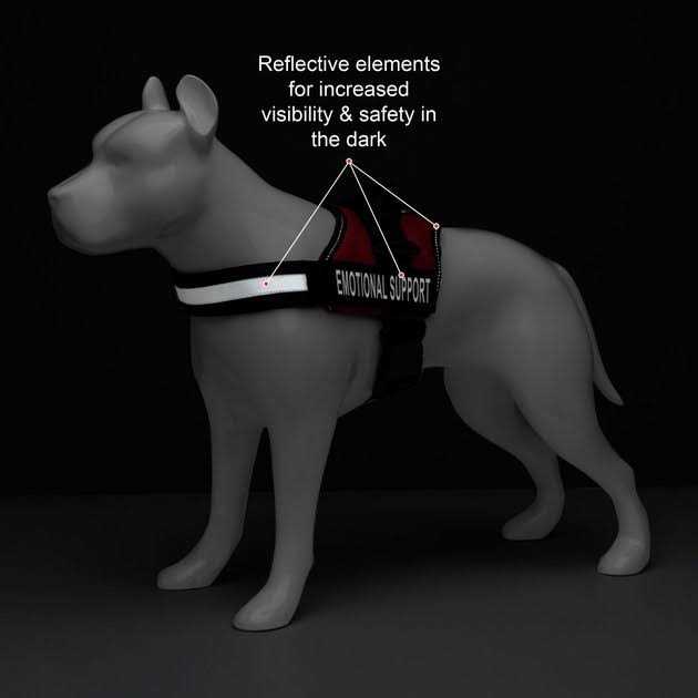 Reflective Dog Vest Harness and Leash Set M2775