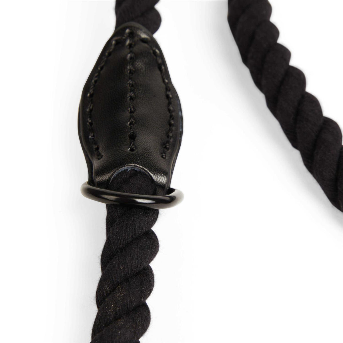 Pet Supplies I388363