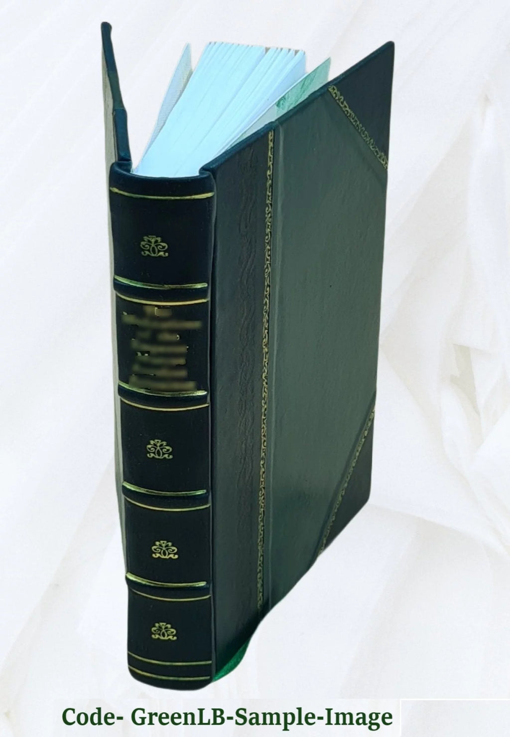Leather Bound F697873