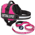 Reflective Dog Vest Harness and Leash Set M2775