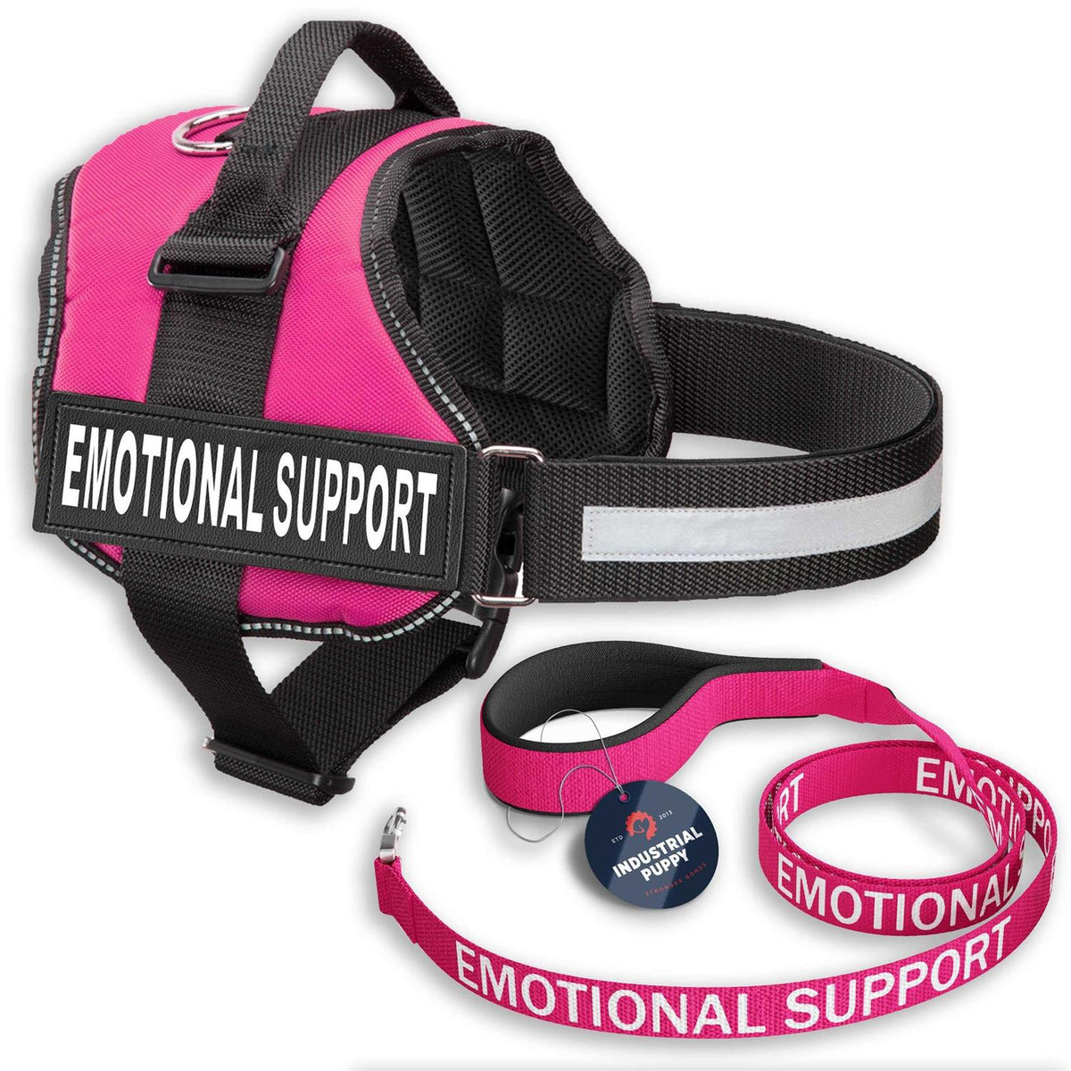 Reflective Dog Vest Harness and Leash Set M2775